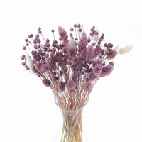 Trockenblumenstrauß Violet Größe S – Flachs, Phalaris, Lagurus