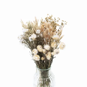Set getrockneter Blumen „Countryside” – Strohblume, Anafalis, Hafer