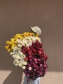 IMG_7557.JPEG