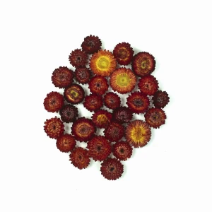 Getrocknete Strohblumen 50 g – rubinrote Blüten