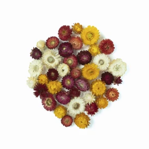 Getrocknete Strohblumenköpfe 50 g – verschiedene Farben