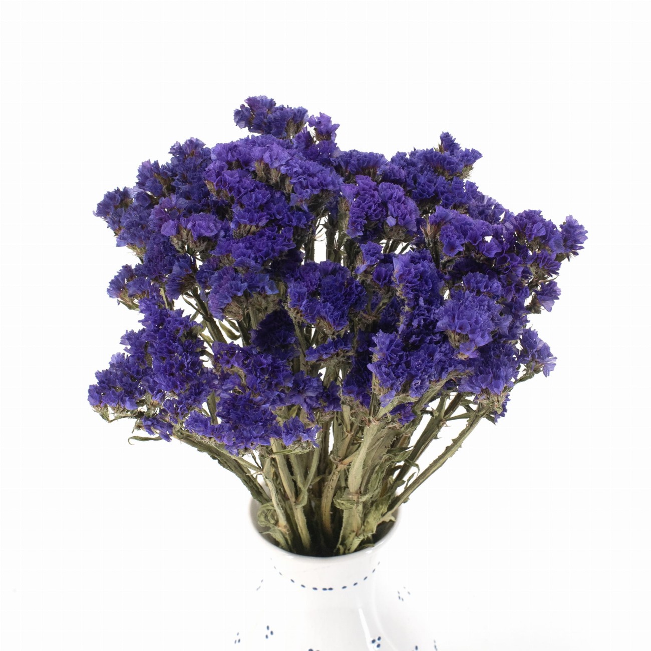 Dried statice dark violet (limonium) - dried flowers 