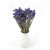 Zatrwian wrębny niebieski (limonium) - suszone kwiaty