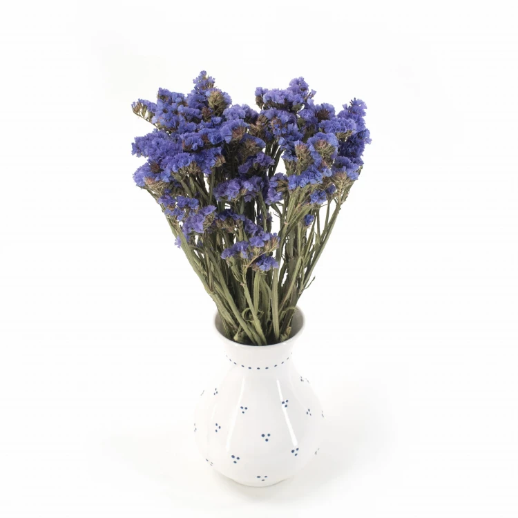 Zatrwian wrębny niebieski (limonium) - suszone kwiaty