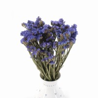 Getrocknetes Strandflieder (Limonium) – getrocknete Blumen