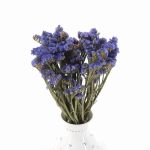 Getrocknetes Strandflieder (Limonium) – getrocknete Blumen