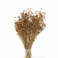 Getrockneter natürlicher Flachs – Strauß 90 g – getrocknete Blumen