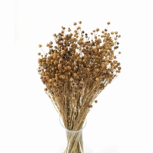 Getrockneter natürlicher Flachs – Strauß 90 g – getrocknete Blumen