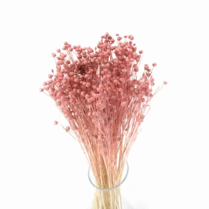 Hellrosa Flachs – getrocknete Blüten 90 g