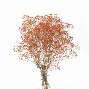 Stabilisierte orangefarbene Gipskrautblume – Strauß
