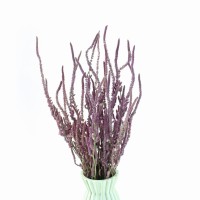 Getrockneter Suworow-Strohblume – natürliche getrocknete Blüten