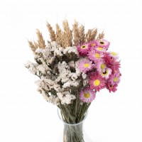 Set getrockneter Blumen Estate Größe S – Strohblume, Trockenblume, Weizen
