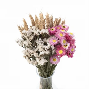 Set getrockneter Blumen Estate Größe S – Strohblume, Trockenblume, Weizen