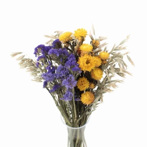 Set getrockneter Blumen Autunno Größe S – Strohblume, Helichrysum, Hafer