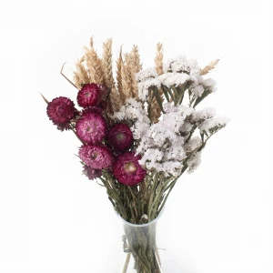 Set getrockneter Blumen Cielo Größe S – Strohblume, Helichrysum, Weizen