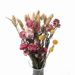 Set getrockneter Blumen Oro Größe S – Kraspedia, Strohblume, Phalaris