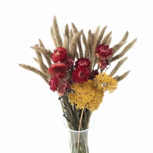 Set getrockneter Blumen Tramonto Größe S – Schafgarbe, Strohblume, Setaria