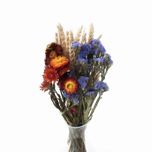 Set getrockneter Blumen Sole Größe S – Strohblume, Helichrysum, Weizen