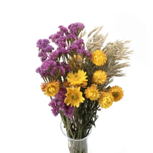 Set getrockneter Blumen Rosa Größe S – Strohblume, Strohblume, Hafer