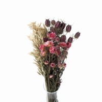 Set getrockneter Blumen Siena Größe S – Schwarzkümmel, Strohblume, Hafer