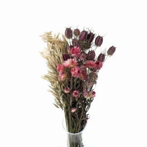 Set getrockneter Blumen Siena Größe S – Schwarzkümmel, Strohblume, Hafer