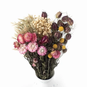 Set getrockneter Blumen Siena – getrocknete Blumen für die Vase