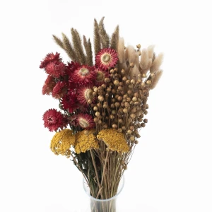 Set getrockneter Blumen Tramonto – getrocknete Blumen für die Vase