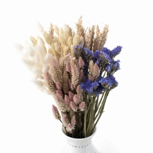 Set getrockneter Blumen Mare – getrocknete Blumen für die Vase