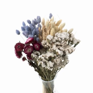 Set mit getrockneten Blumen Cielo – getrocknete Blumen für die Vase