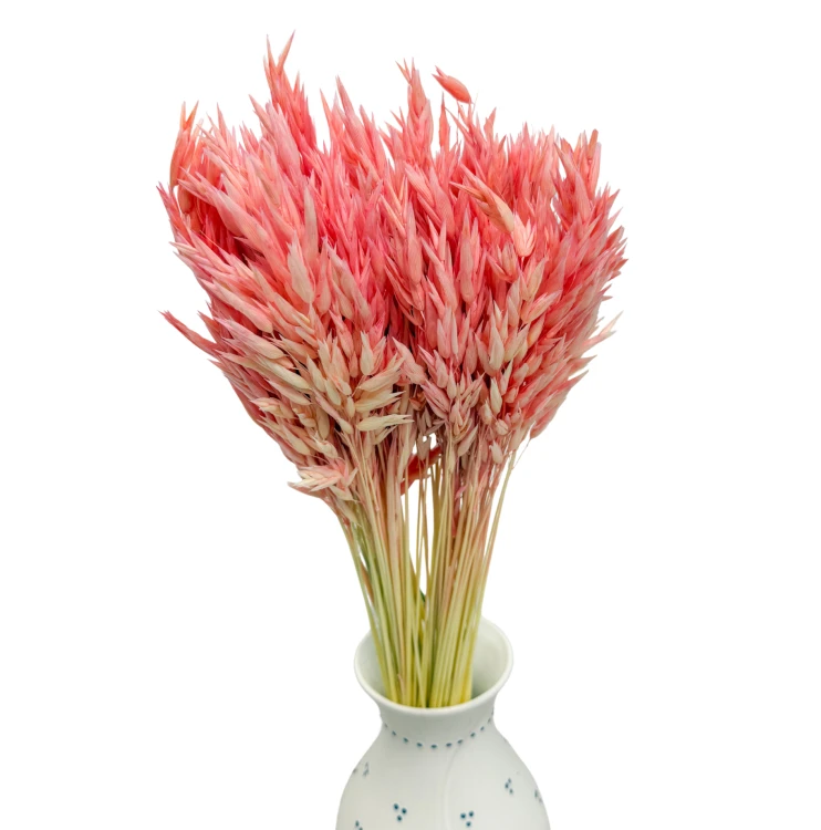 Zdjęcia produktowe (60 x 90 cm) (6).png