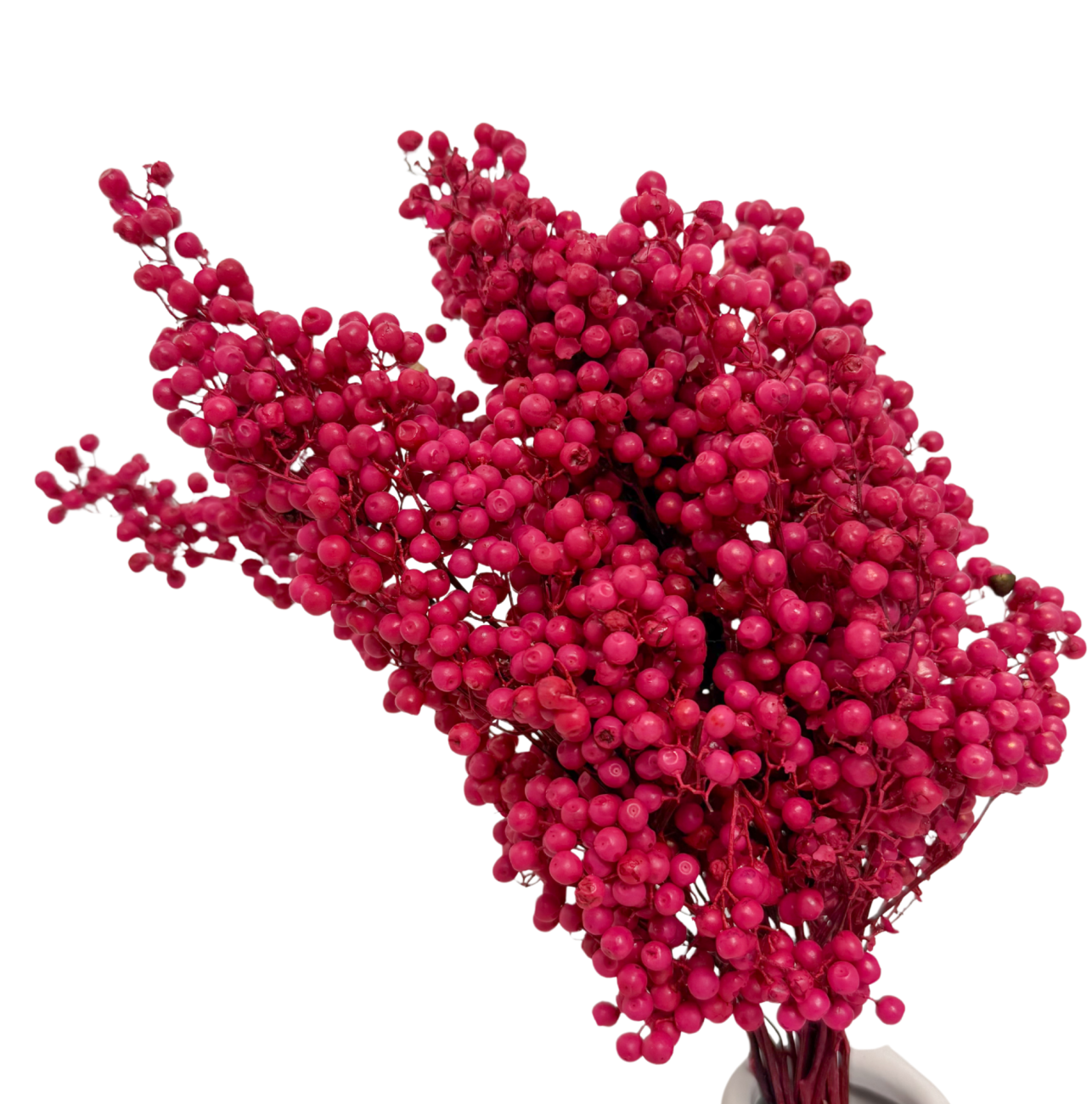 Getrockneter Zierpfeffer – Fuchsia – Strauß