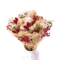 Set getrockneter Blumen Christmas Crush