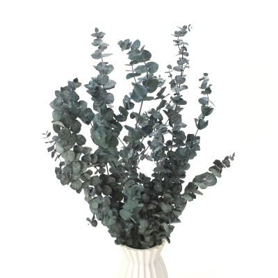 Stabilisierter Eukalyptus Baby grün – Eukalyptusblätter