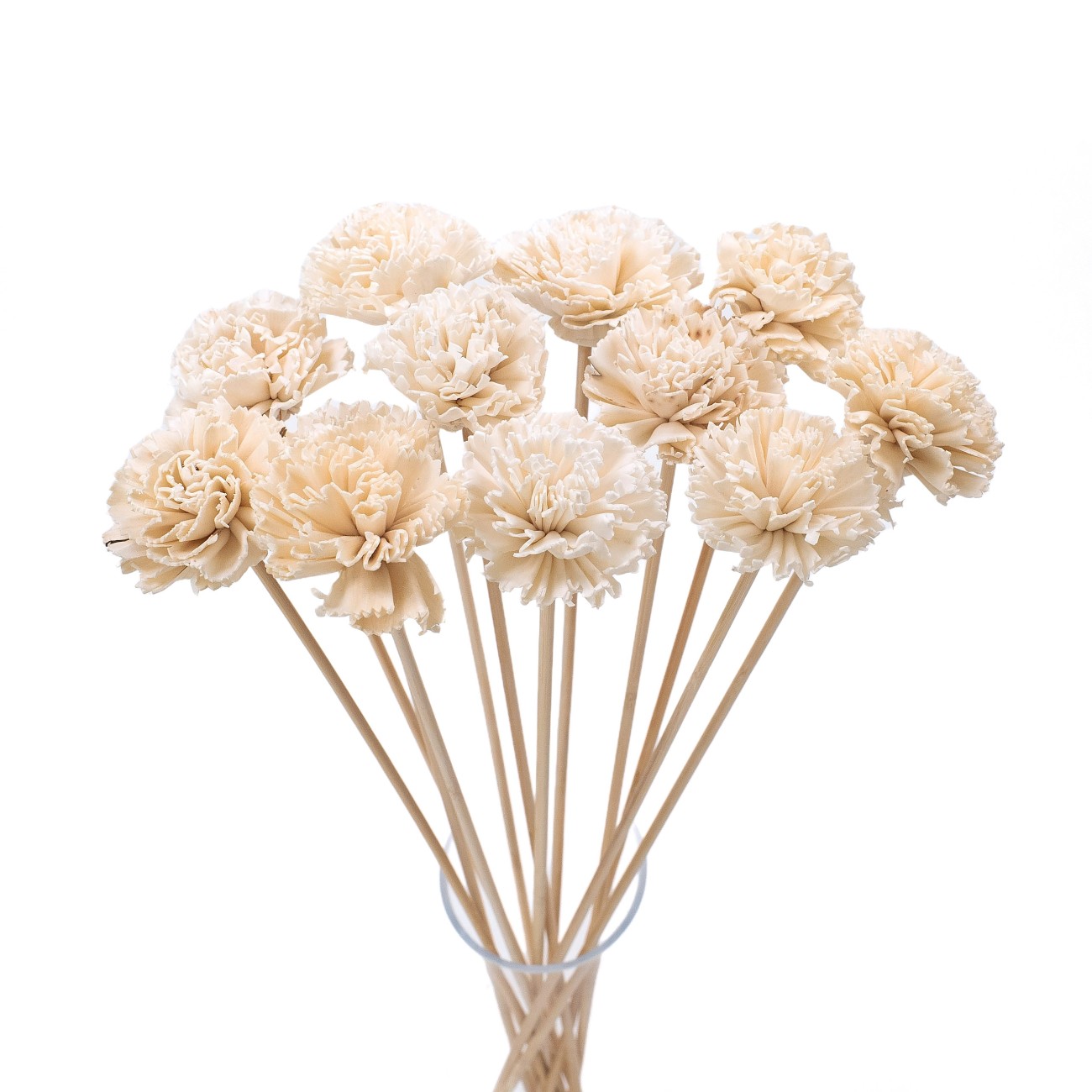 Shola-Blüte – weiße/cremefarbene Nelke 6 cm am Stiel