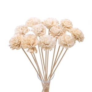 Shola-Blüte – weiße/cremefarbene Nelke 6 cm am Stiel