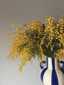 Mimoza (akacja srebrzysta), ok. 180g.