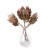 Suszona protea king różowa