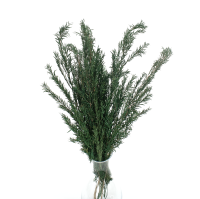Premium gebleichte stabilisierte Hortensie (1) (1)