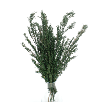 Premium gebleichte stabilisierte Hortensie (1) (1)