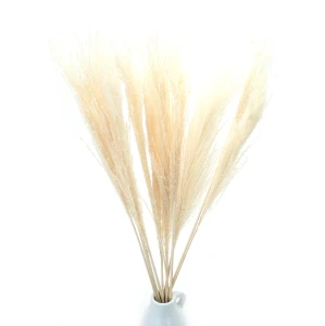 Burgunderfarbener Miscanthus, getrocknet, 5 Stück – getrocknete Gräser (1)