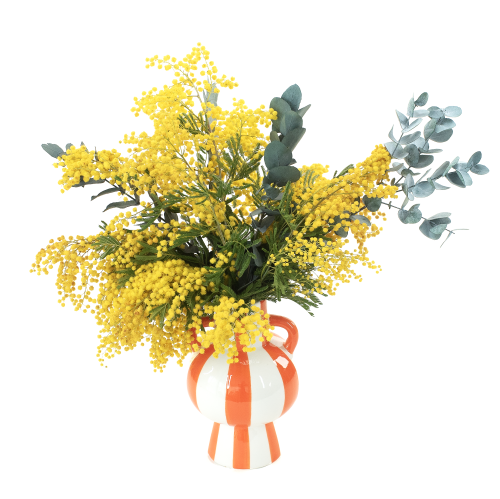 Zestaw - mimoza suszona i eukaliptus