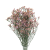 _DSC7246.png
