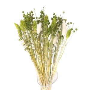 Strauß getrockneter Blumen Blue Größe S – Flachs, Phalaris, Lagurus (1)