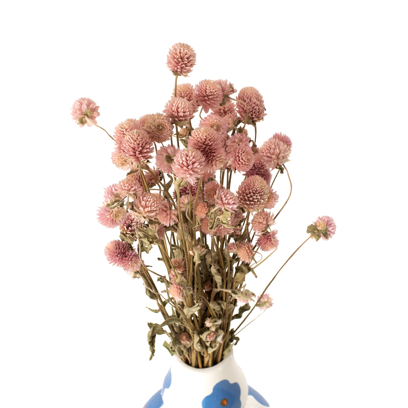 Kugelige Gomphrena rosa – getrocknete Blumen – Strauß
