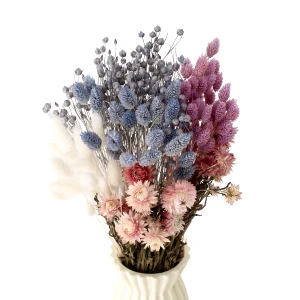 Set getrockneter Blumen Denim – Flachs, Strohblume, Phalaris