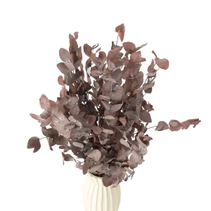 Stabilisierter Eukalyptus Cinerea rot – Eukalyptusblätter