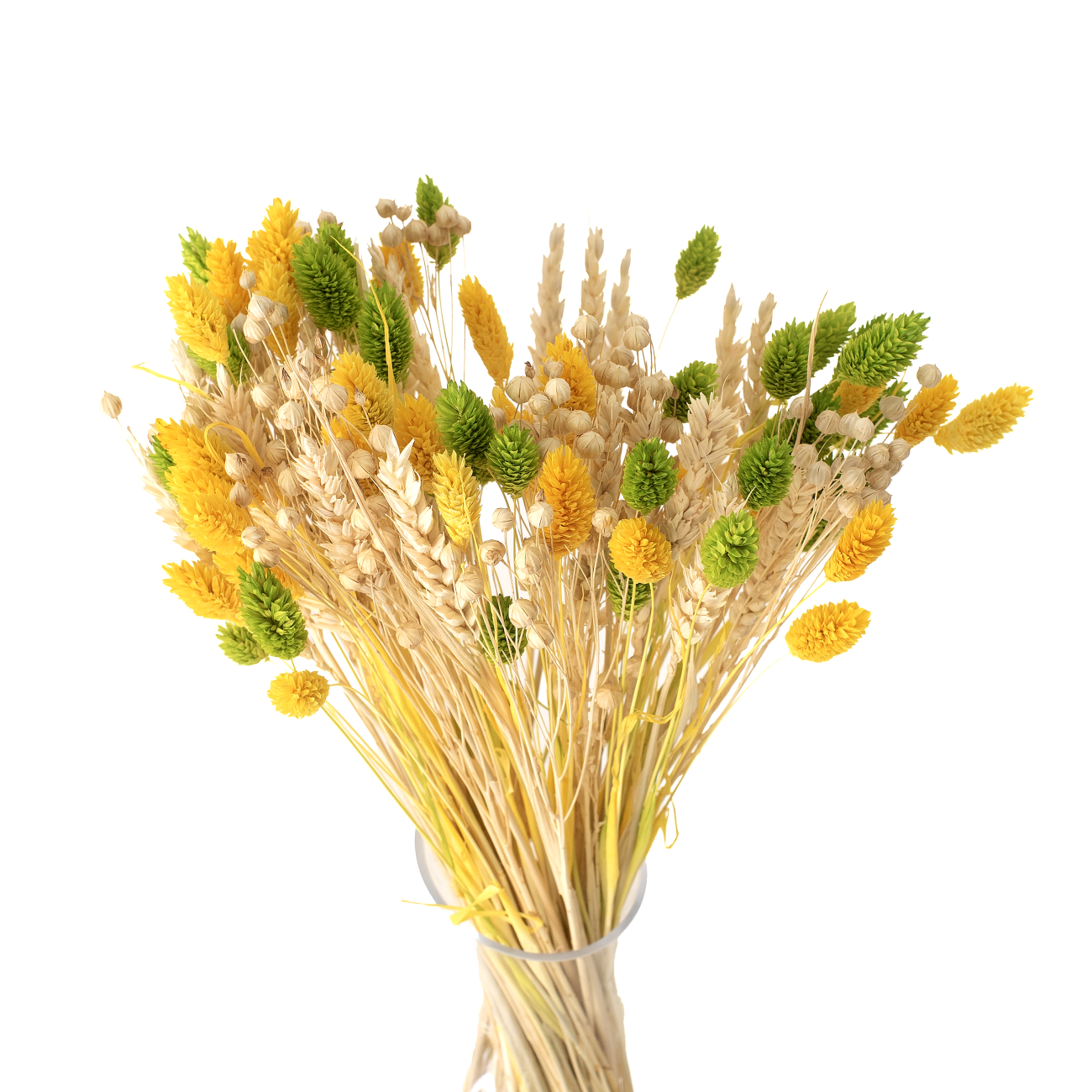 Dried flowers bouquet Yellow&Green