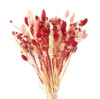 Dried flowers bouquet Red & Pink