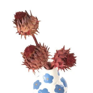 Getrocknete Artischocke (Cynara) – getrocknete Blumen (1)