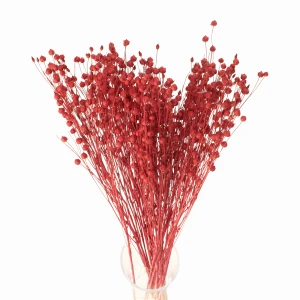 Getrockneter roter Flachs – Strauß 90 g – getrocknete Blumen